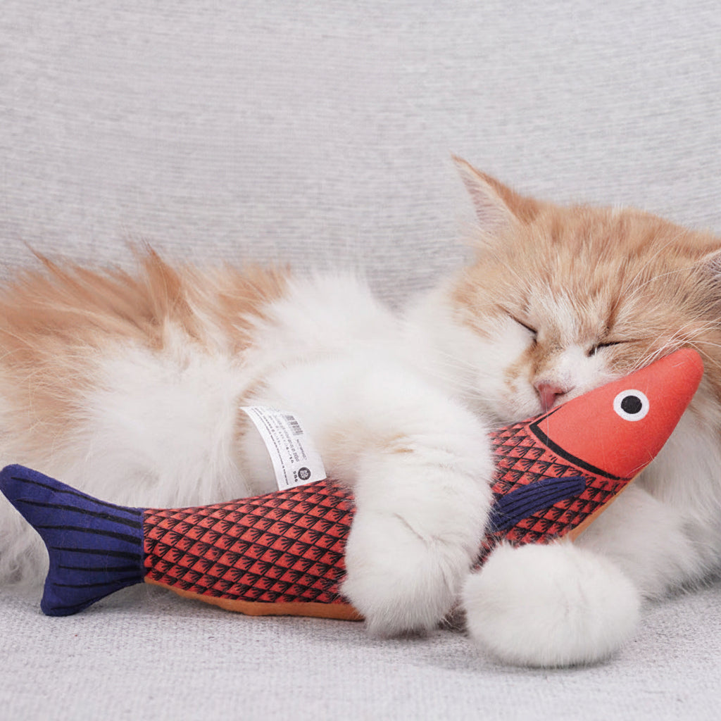 Cat Fish Toy